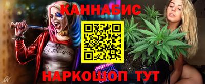 стафф Норильск