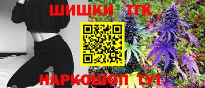 СК Новоалтайск
