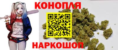 мдпв Ногинск